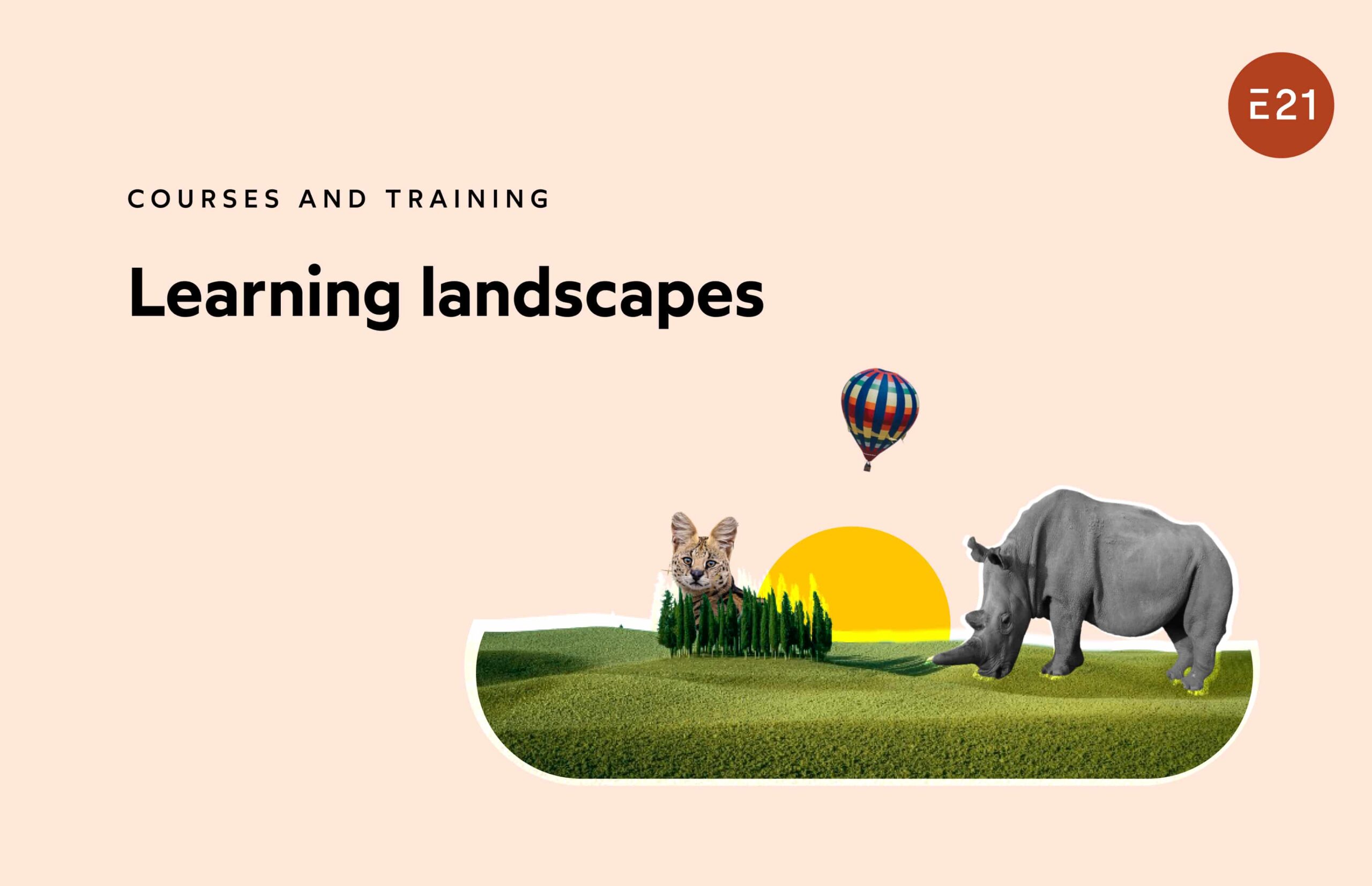 Learning landscapes Course